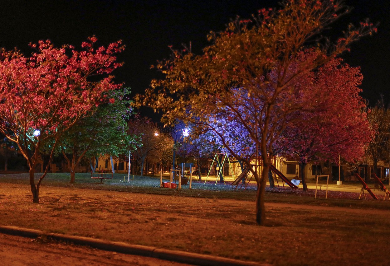 "Festival de colores" de Diego Dadone