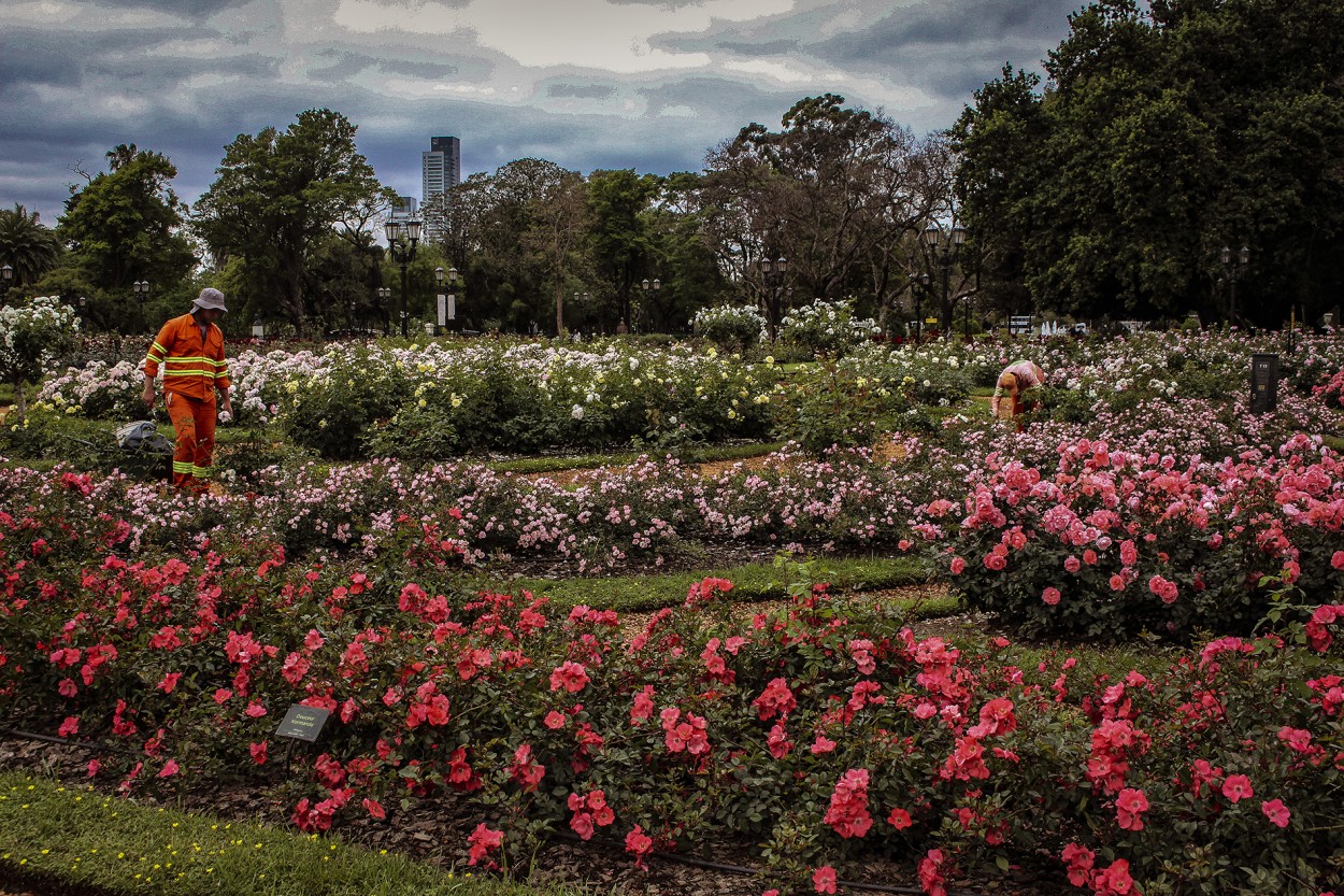 "Rosedal Palermo 2" de Ruperto Silverio Martinez