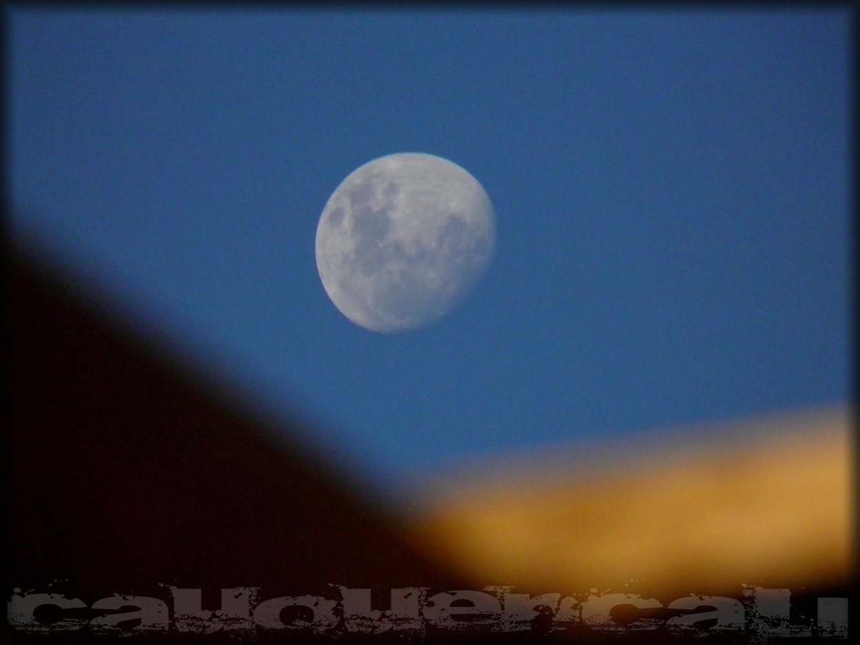 "Lunadiurna" de Carlos Gustavo Ayliffe