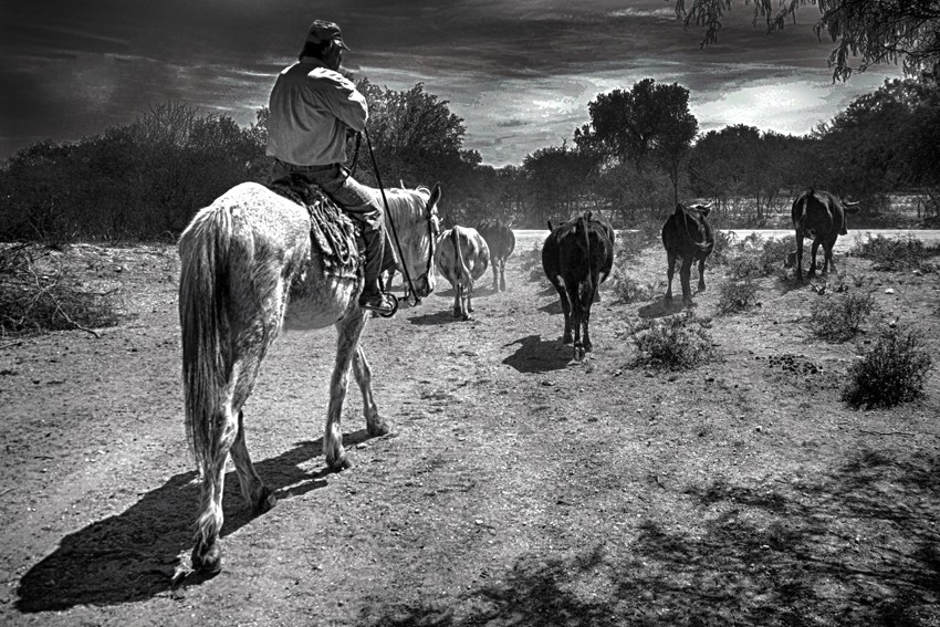 "EL Arriero" de Alfonso Lopez