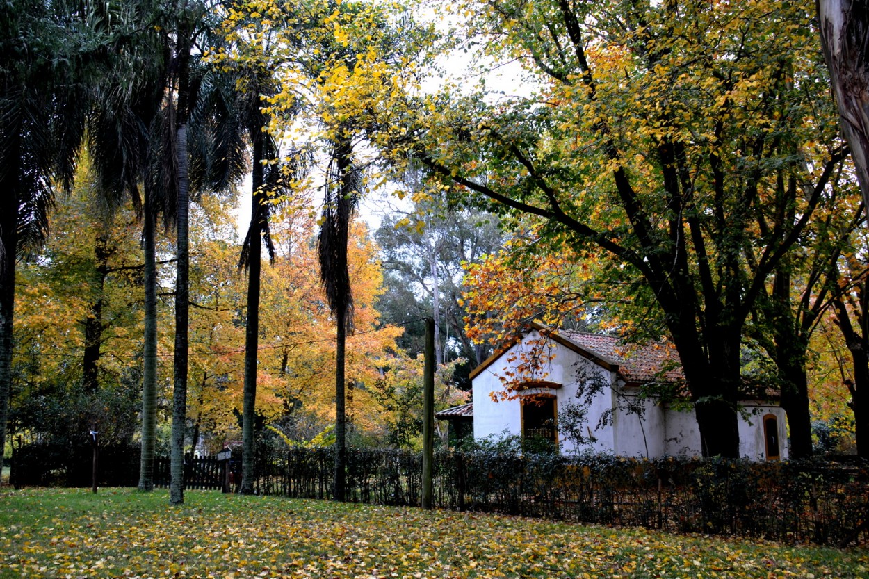 "La casa del bosque" de Carlos D. Cristina Miguel