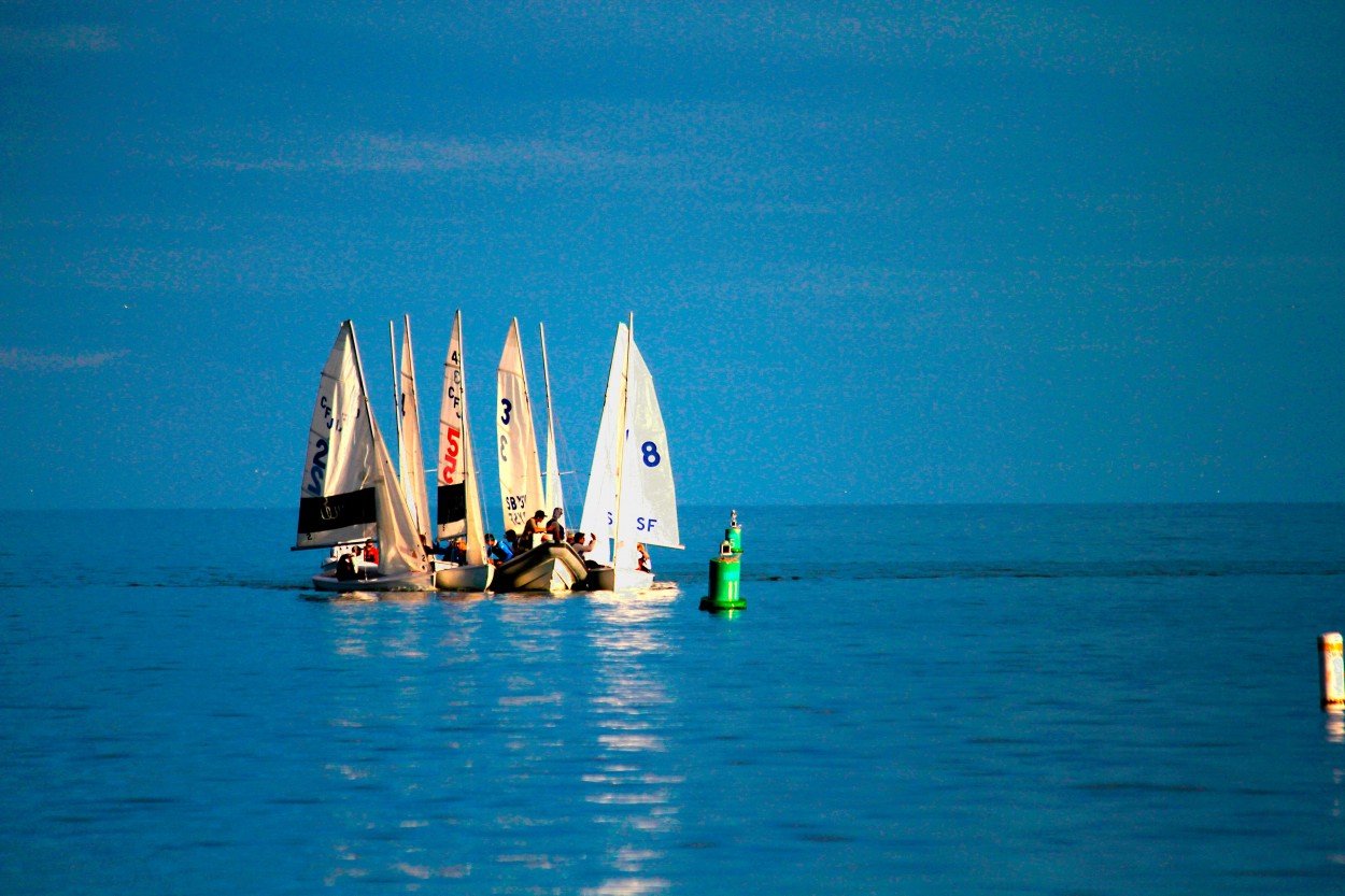 "juegos de mar" de Guillermo Covelli