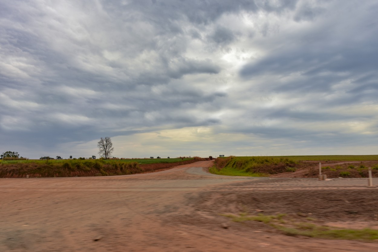 "Caminos" de Adriana Claudia Gallardo