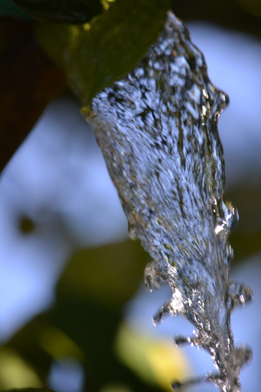 "Agua que no vas a beber..." de Nancy Wilgenhoff