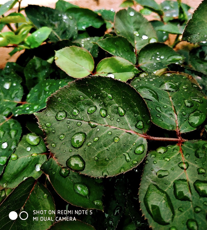 "La lluvia..." de Csar Tejeda