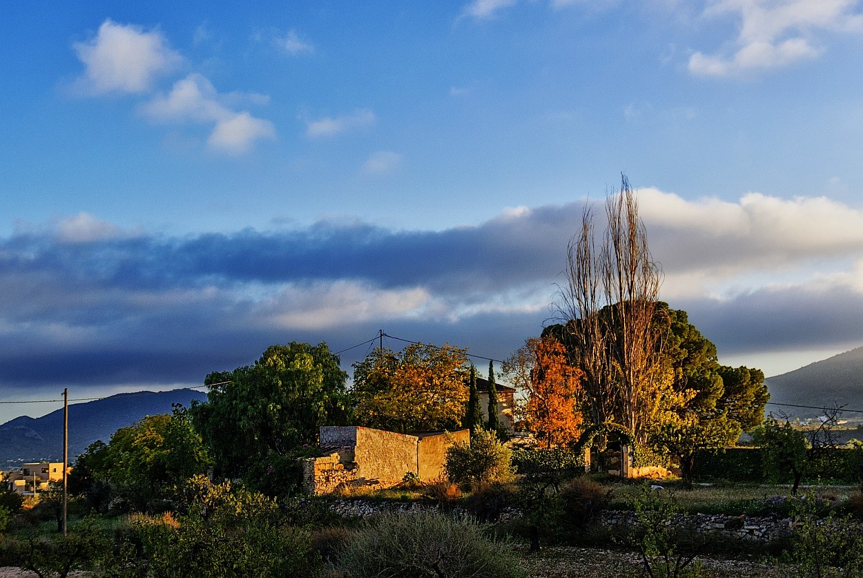 "Hacienda con rboles" de Francisco Jos Cerd Ortiz