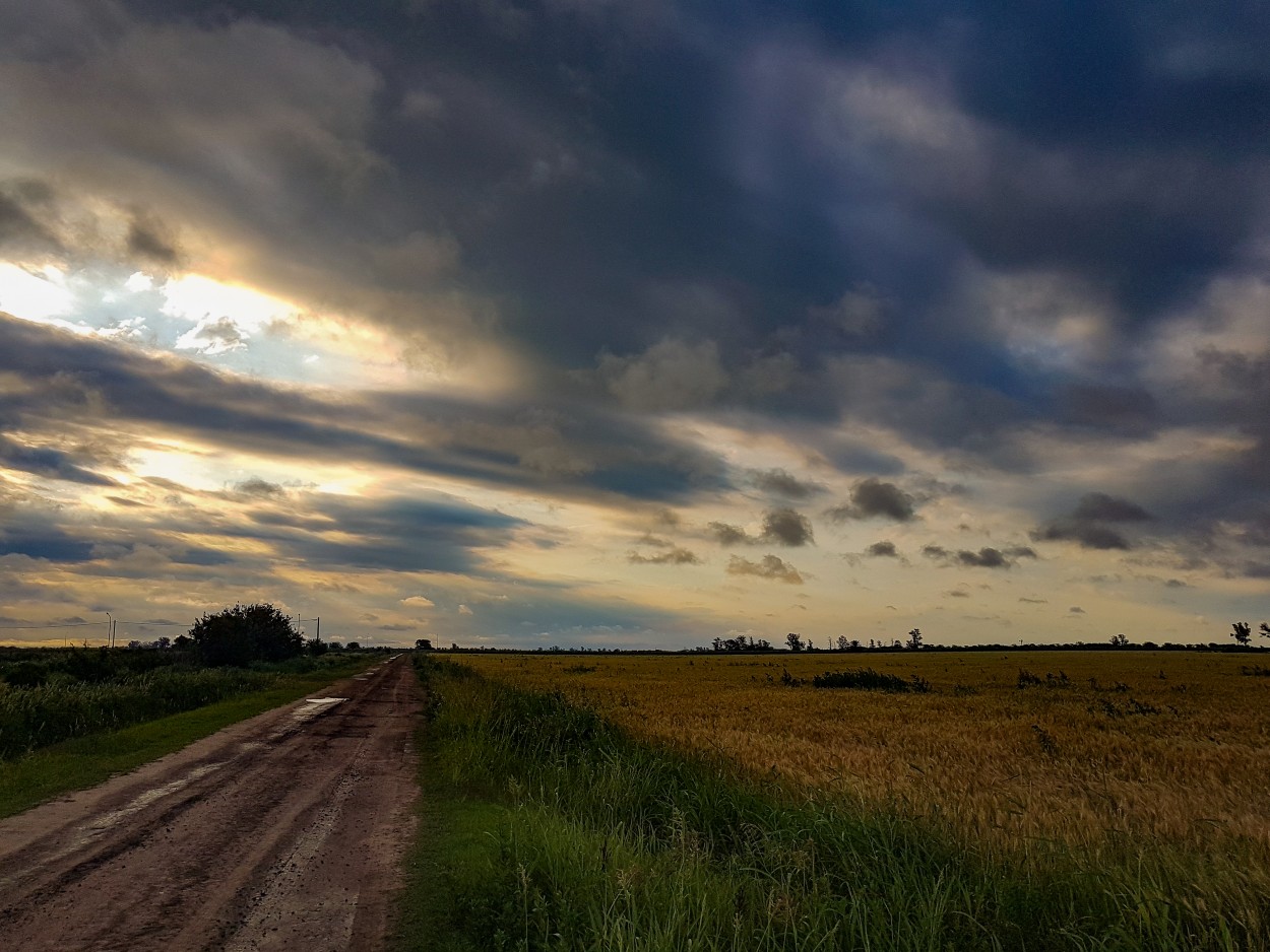 "Camino rural" de Marzioni Martn Luis