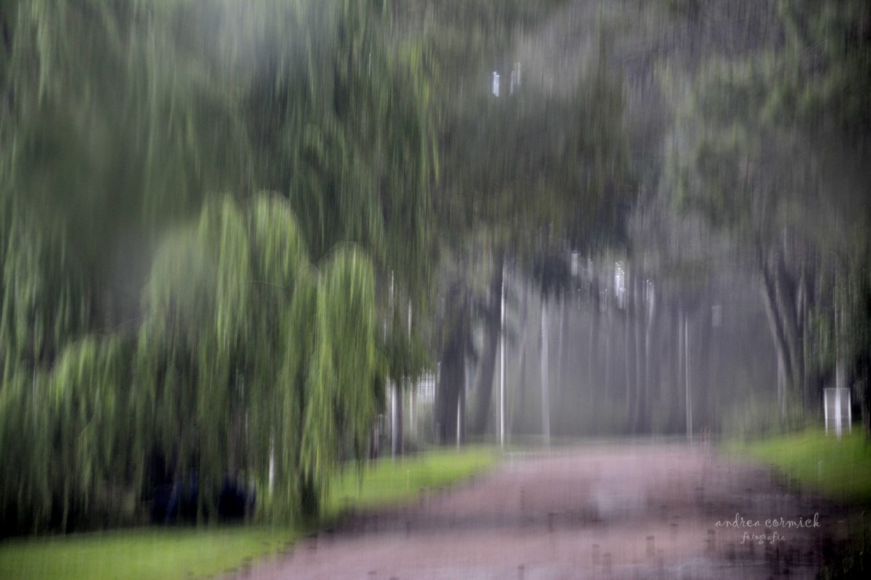 "esta tarde vi llover...." de Andrea Cormick