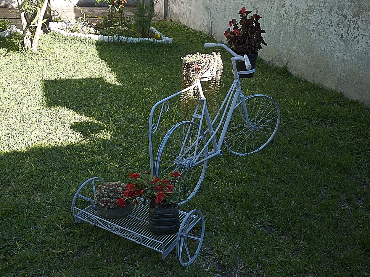 "Bicijardinera" de Juan Fco. Fernndez