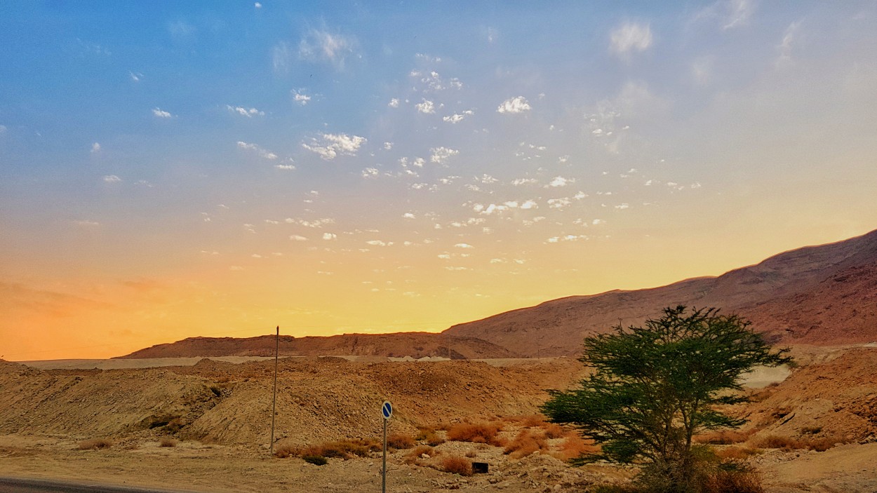 "Crepusculo en el desierto de Judea" de Alejandro Pianko