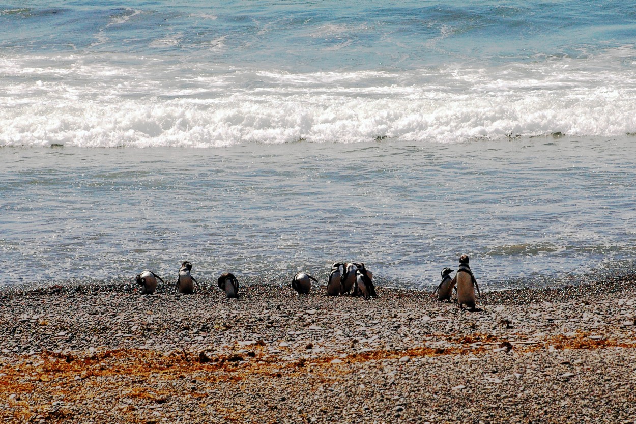 "Digamos...rascndonos en la Playa..." de Florencia Monti