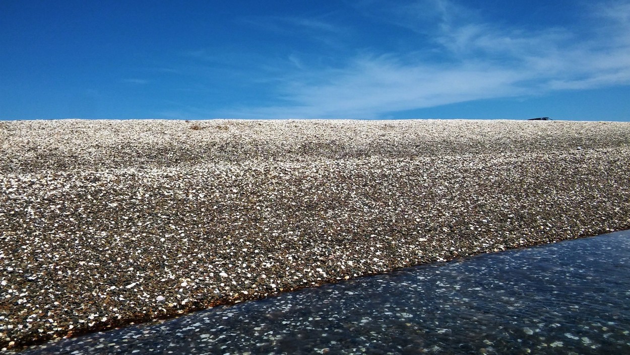 "Entre celestes y blancos" de Carina Gironde