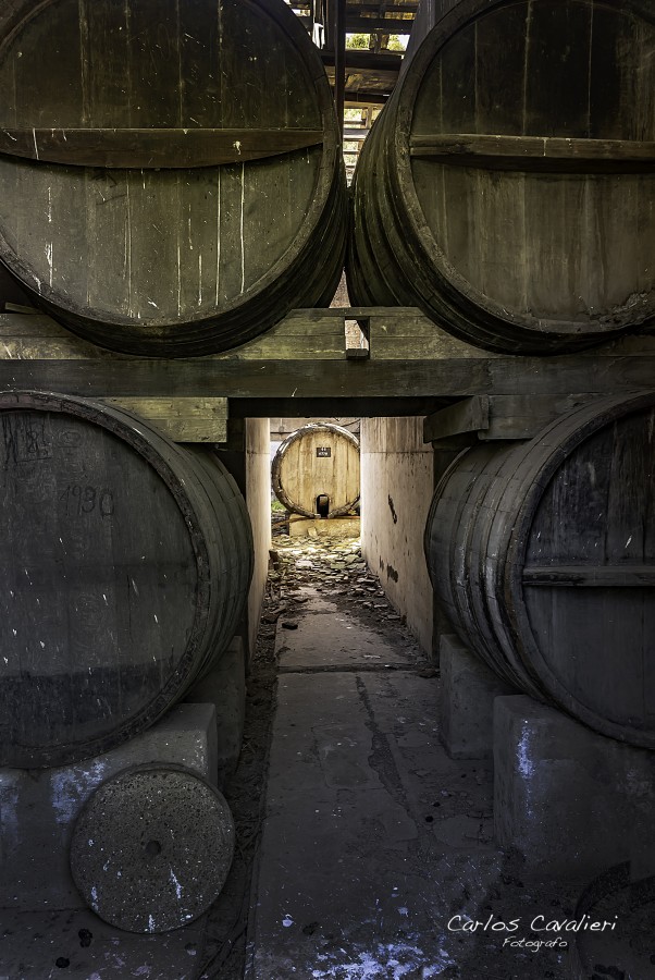 "La Vieja Bodega abandonada..." de Carlos Cavalieri