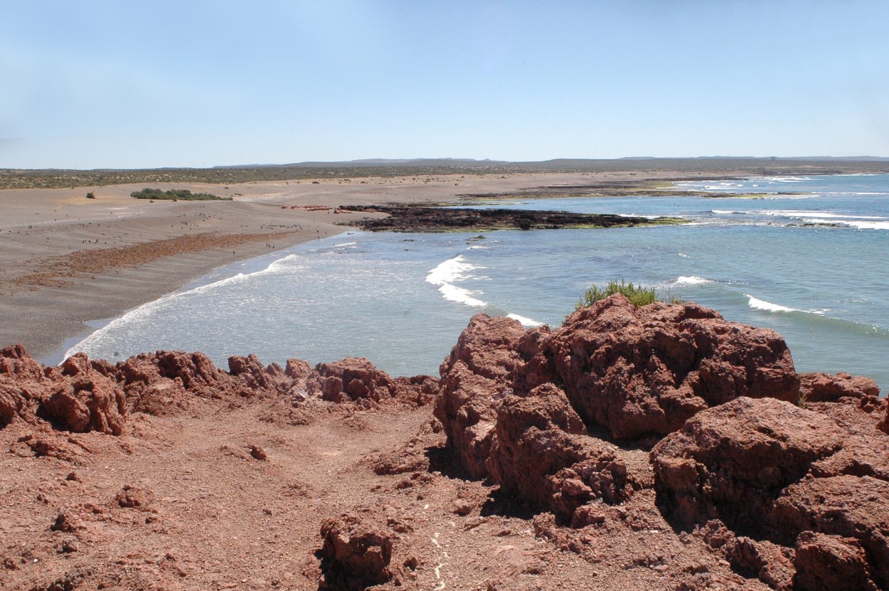 "Punta Tombo." de Florencia Monti