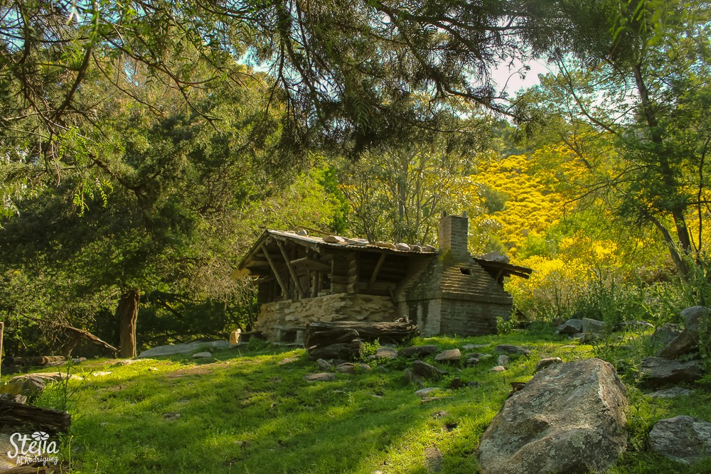 "` La casita del bosque `" de Stella Maris Rodriguez