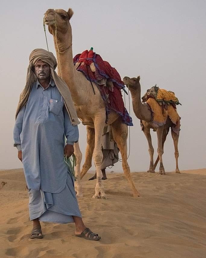 "En el desierto" de Adriana Zaccardi