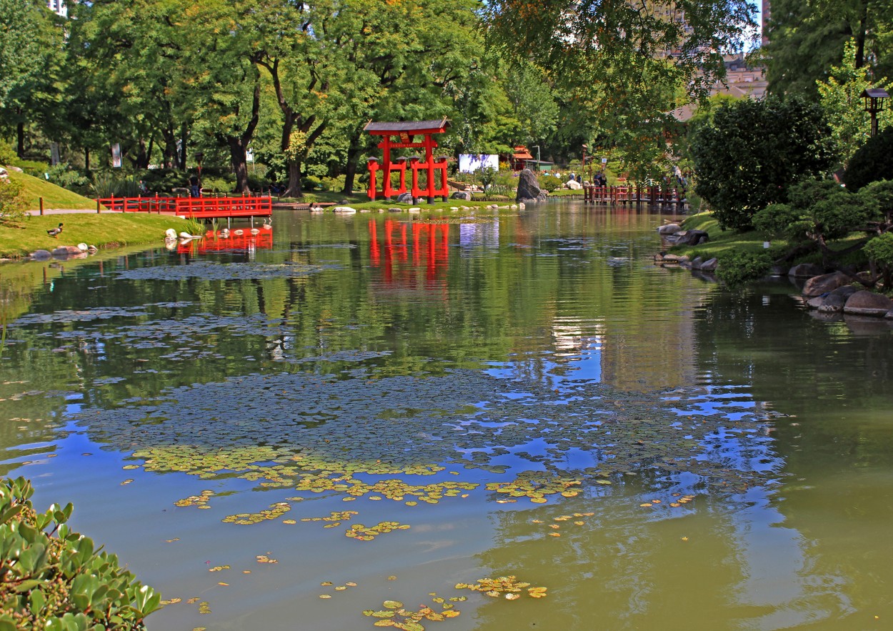 "Diciembre en el Jardn Japons" de Silvia Emilia Guerra