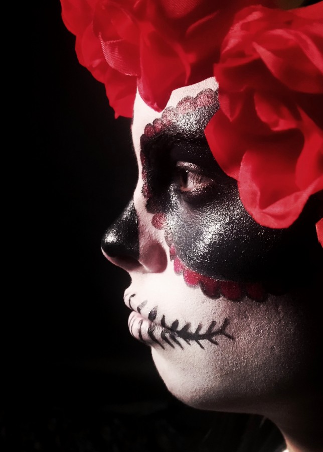 "Catrina mex" de Ricardo Terzoli