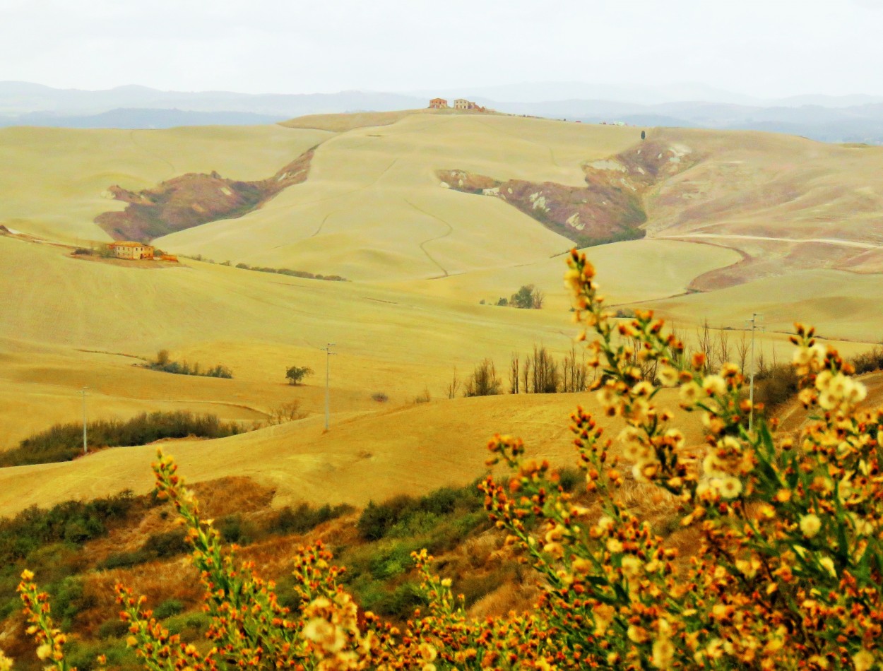 "crete senesi otoal" de Paula Berod