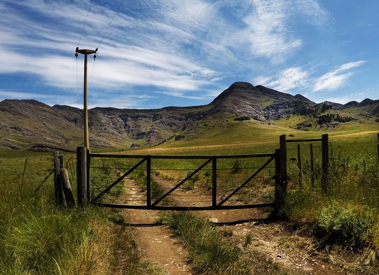 "Campo Cerrado" de Marta Dominici