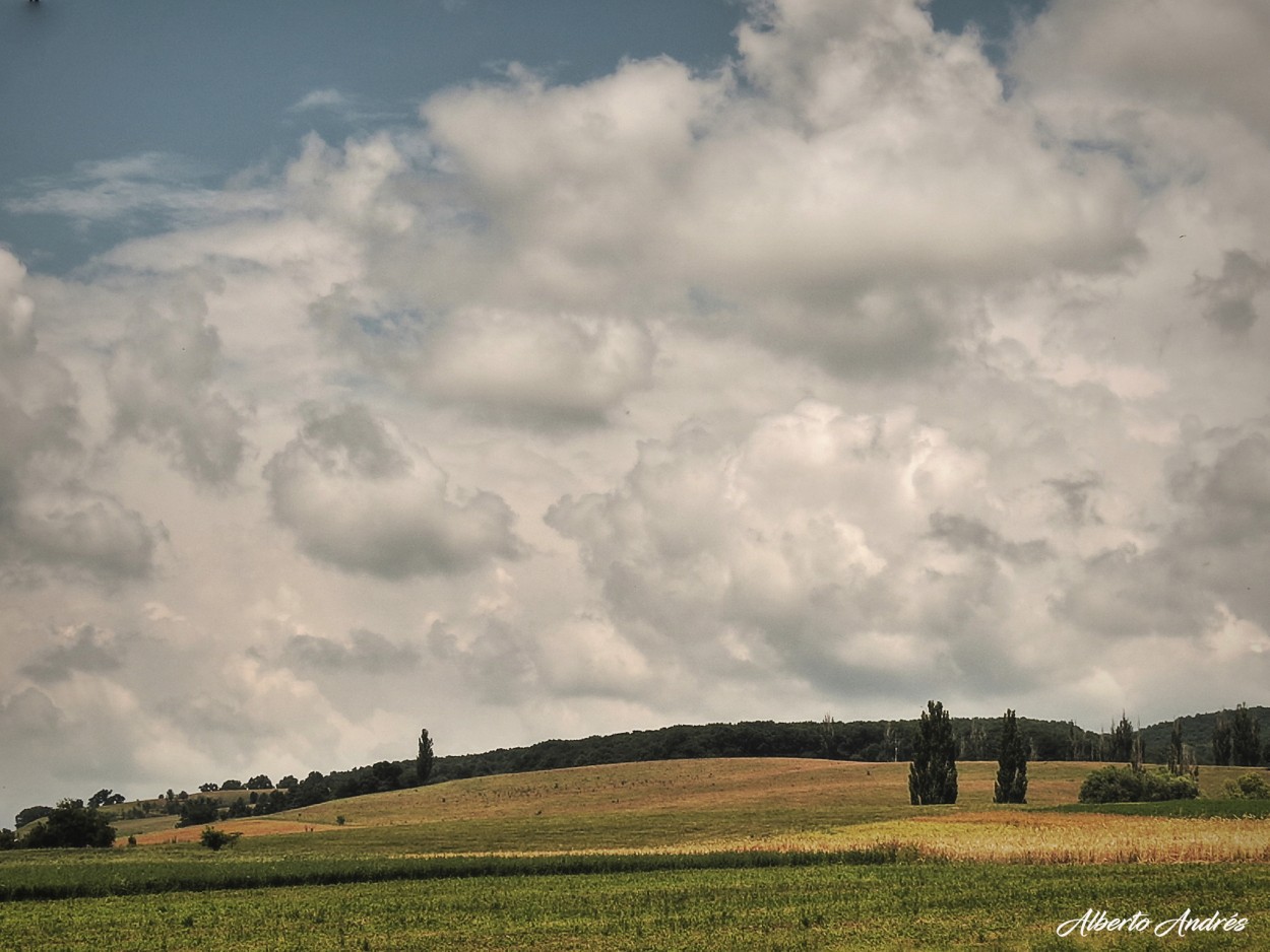 "Cielos Campestres" de Alberto Andrs Melo