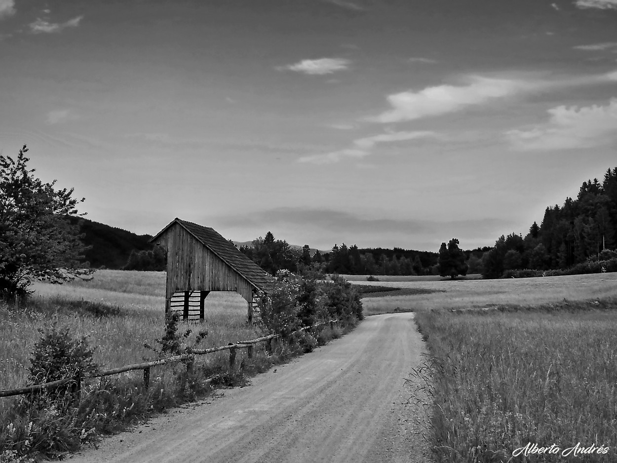 "Caminos Rurales" de Alberto Andrs Melo