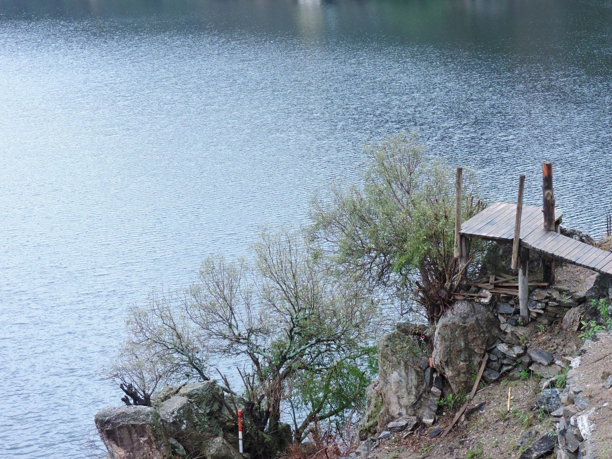 "Paisaje" de Maria Del Carmen Capacio