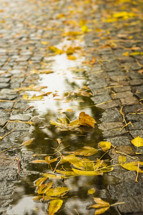 "Despus de la lluvia" de Eduardo Battaglini