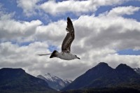 tocando el cielo