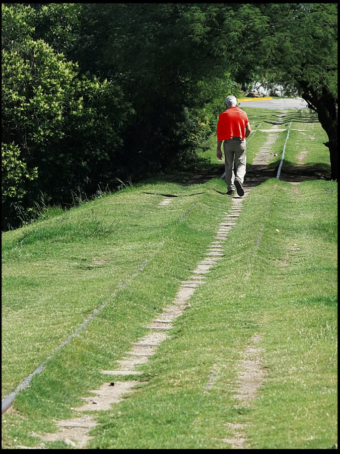 "Se hace camino al andar" de Jorge Vicente Molinari