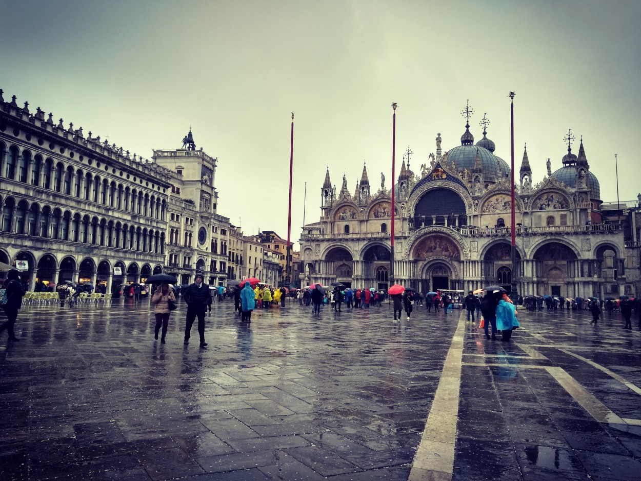 "Plaza San Marcos" de Andrea Del Portal Brujic