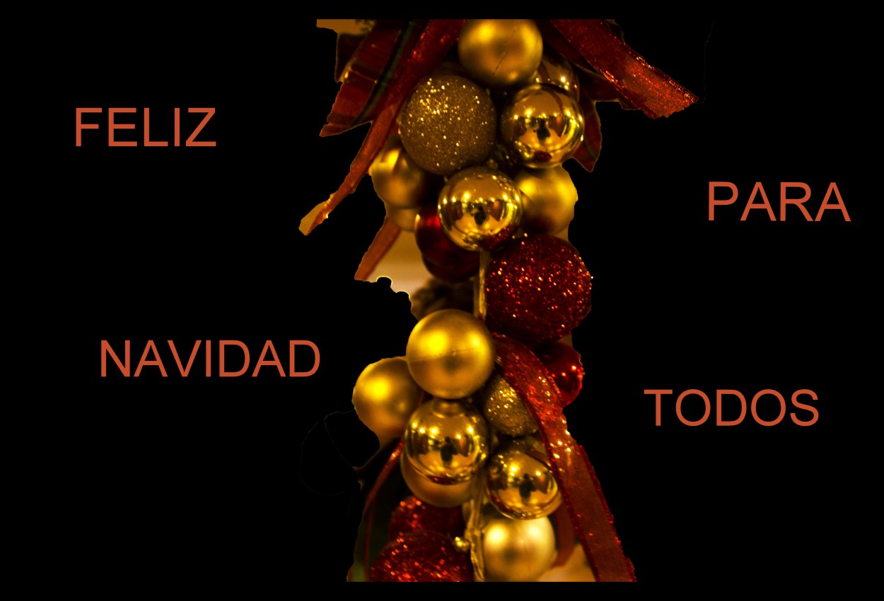 "FELIZZZZZ NAVIDAD PARA TODOSSS!!!" de Maria Eugenia Cailly (euge)