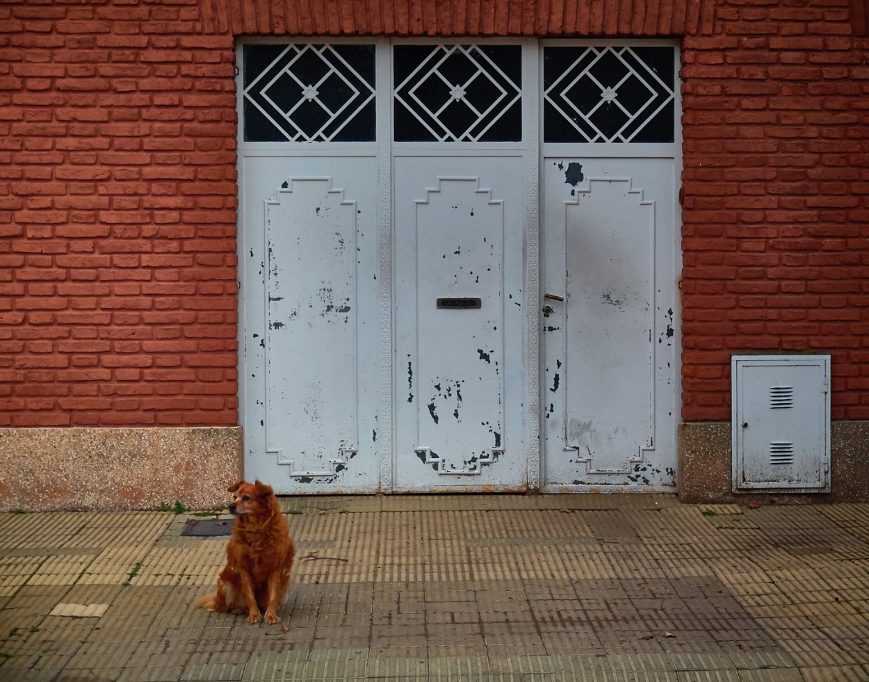 "Al tono" de Fernando Valdez Vazquez