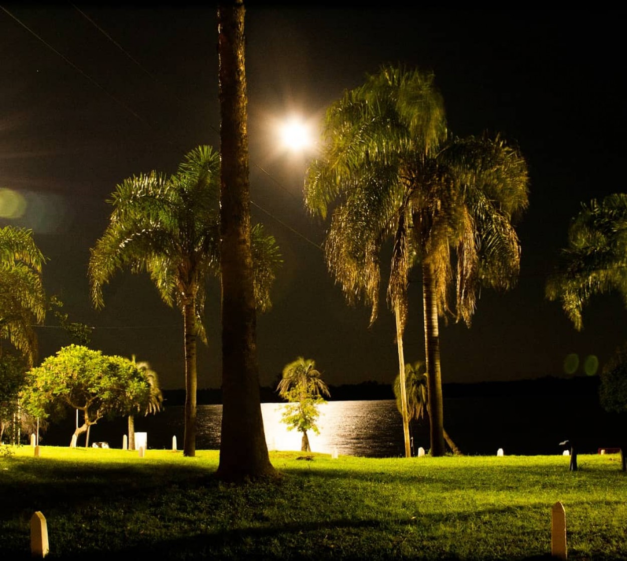 "Luna llena en el paraiso!..." de Federico Arlettaz