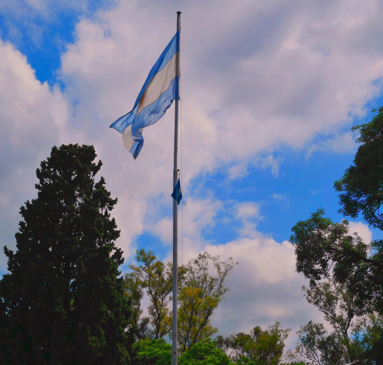 "Mi Bandera del Liceo Militar" de Flix Edmundo Reyes