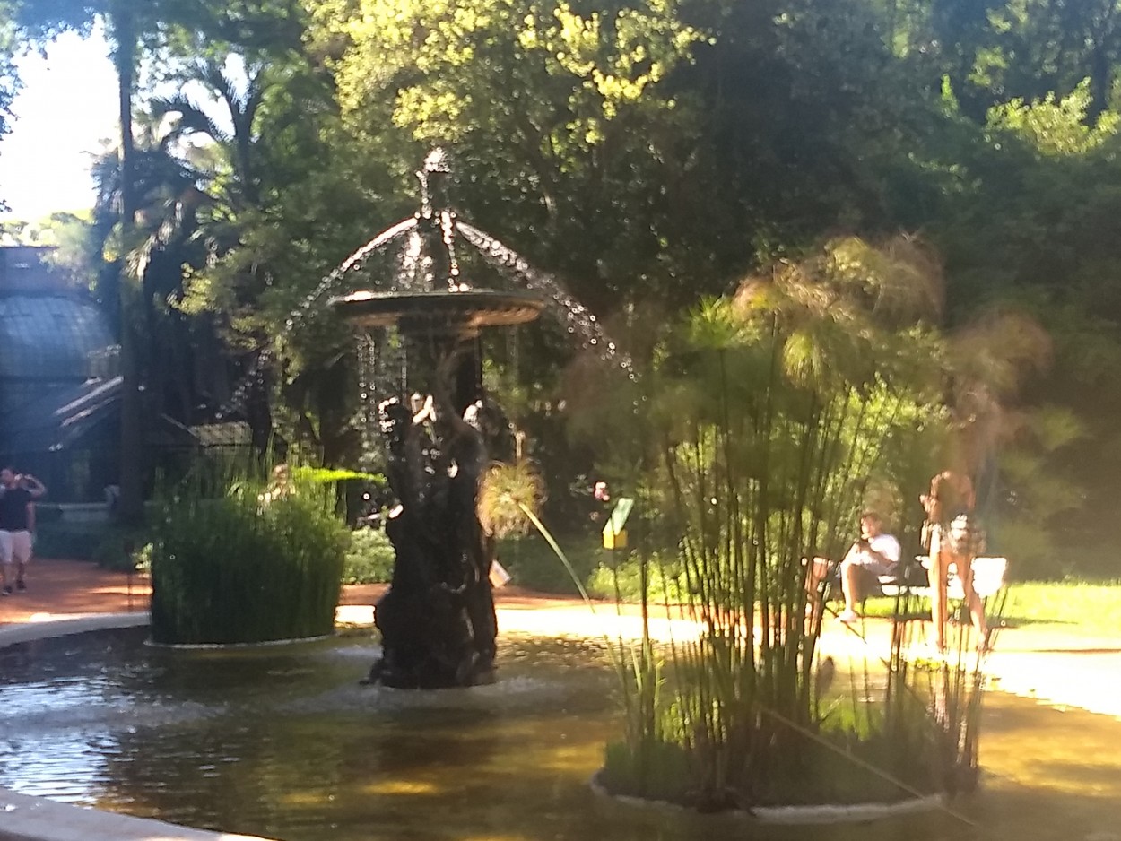 "Fuente de agua" de Valeria Zapata