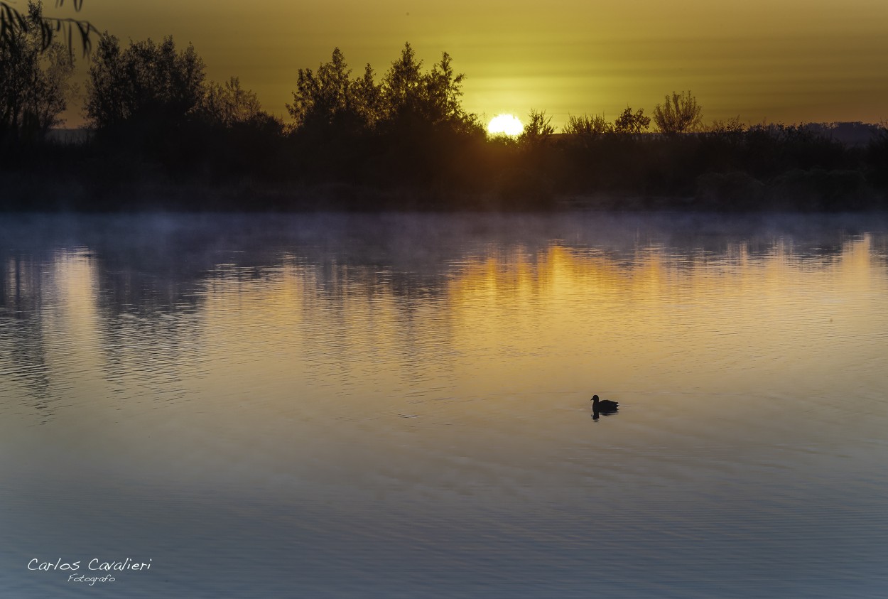 "Luces del amanecer..." de Carlos Cavalieri