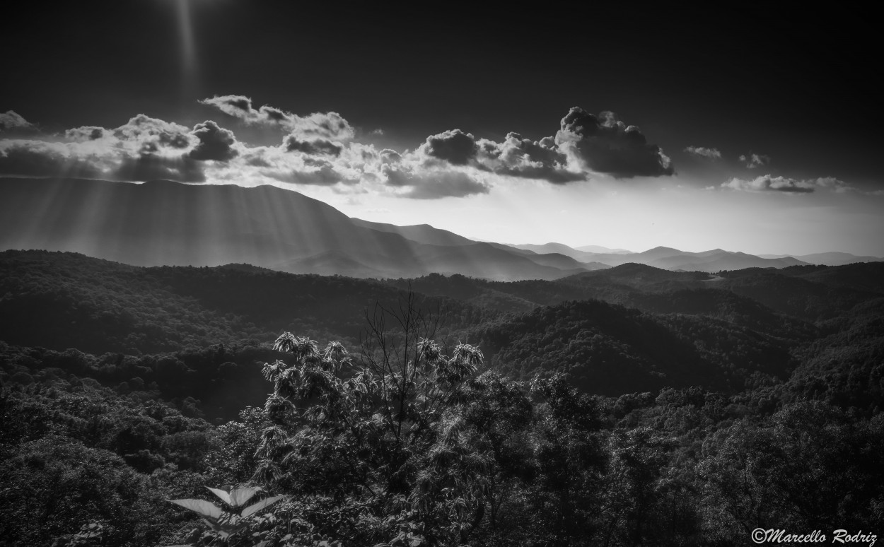 "Paisaje" de Marcello Rodriguez Puebla