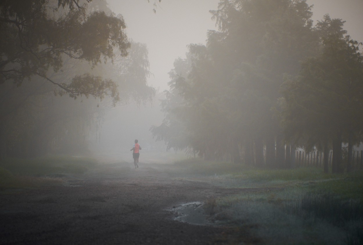 "Corriendo en la niebla" de Fernando Valdez Vazquez