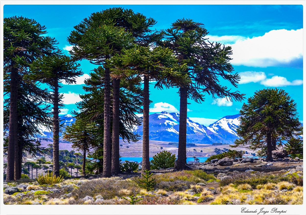 "Nuestra Cordillera" de Eduardo Jorge Pompei