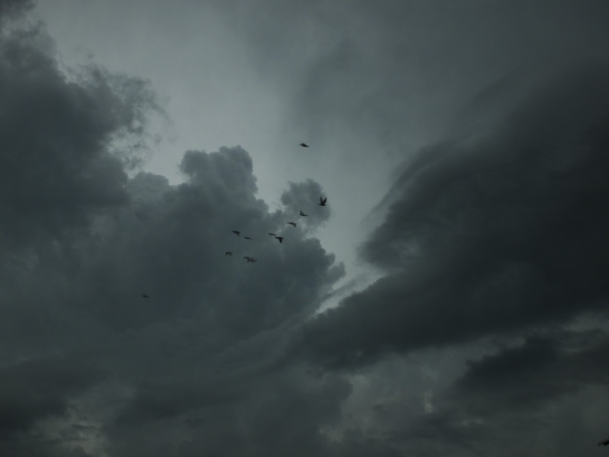 "Despidiendo el ao con tormenta" de Juan Fco. Fernndez