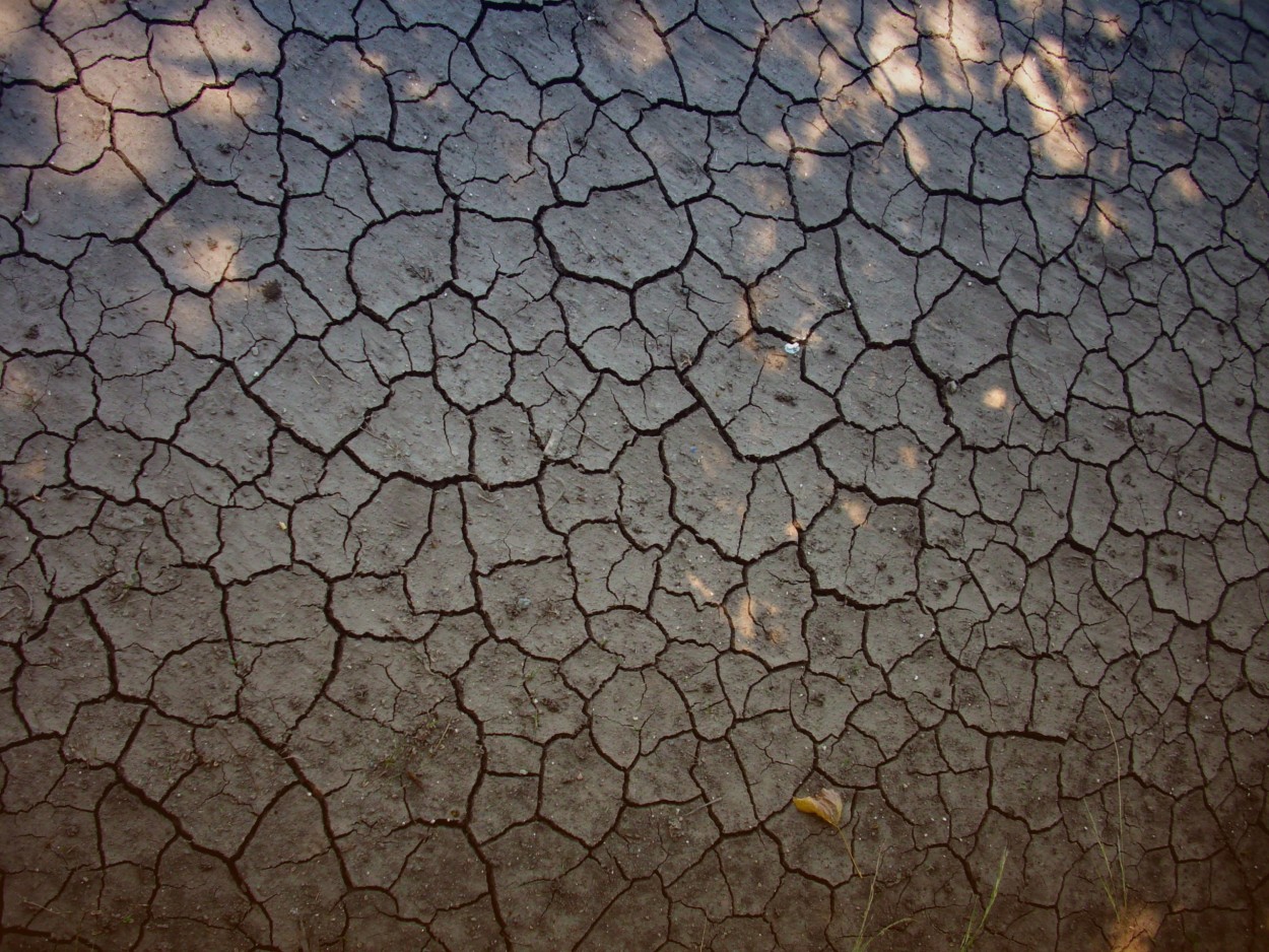 "Naturaleza fractal" de Carlos Gustavo Ayliffe