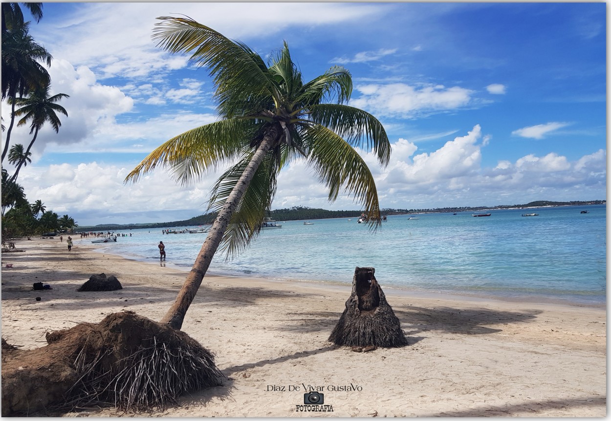 "Praia dos Carneiros - Diaz De Vivar Gustavo" de Gustavo Diaz de Vivar