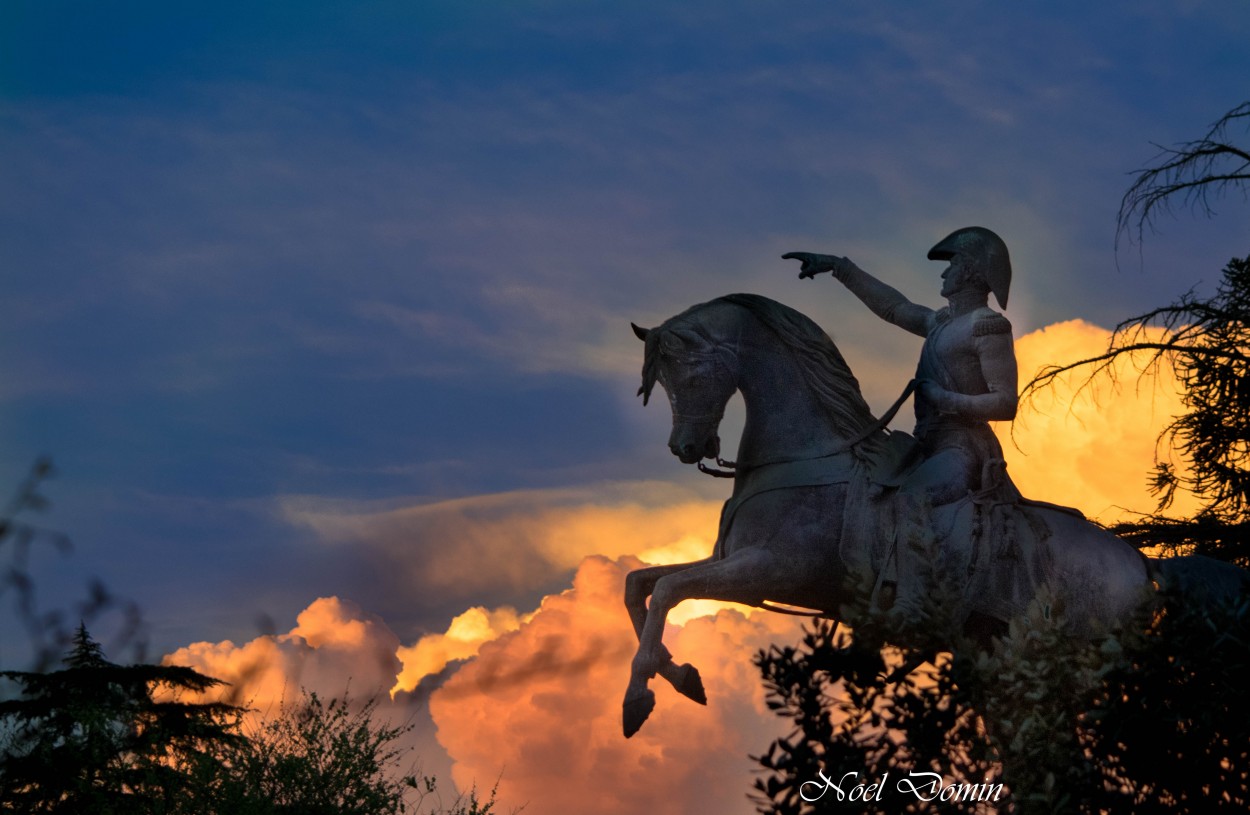 "El libertador" de Ma. Noel Domnguez Sastre