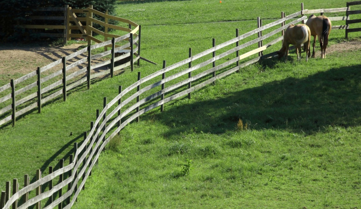 "Corral" de Francisco Luis Azpiroz Costa