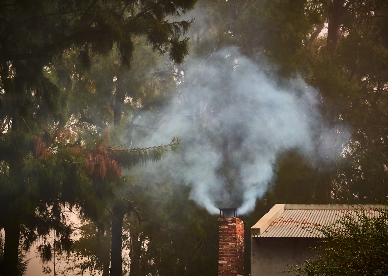 "Asado?" de Fernando Valdez Vazquez