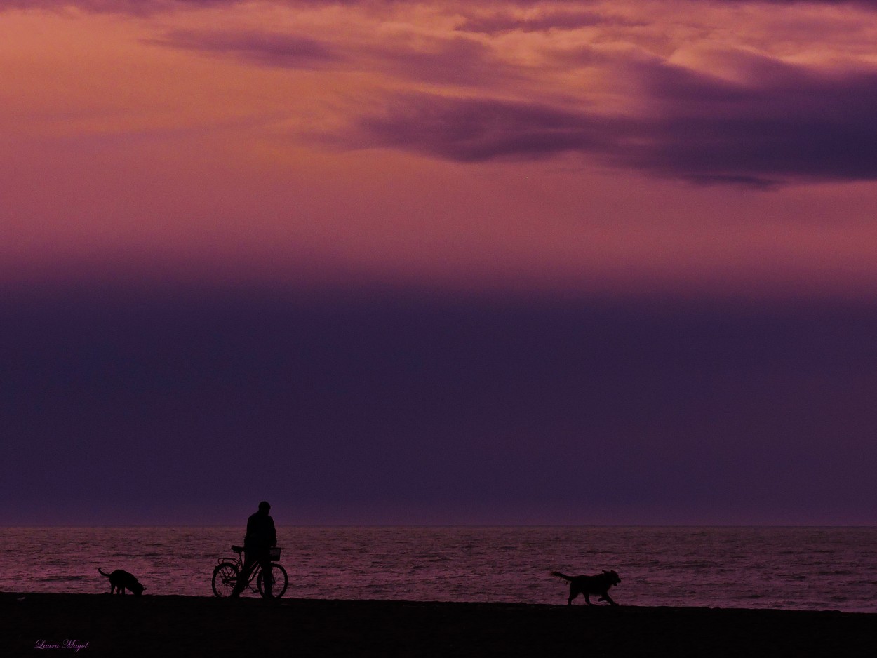 "El paseo" de Laura Mayol