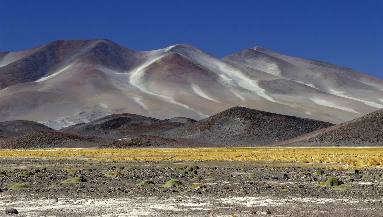 "Texturas de la Puna" de Mario Abad