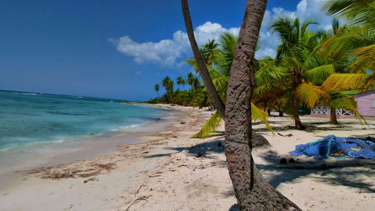 "Sol playa y palmeras." de Carlos Dichiara