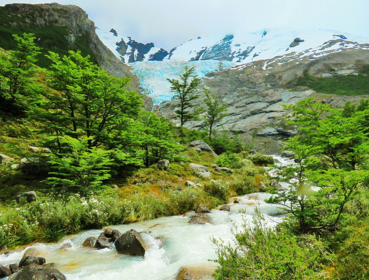 "Glaciar Piedras Blancas El Chalten" de Paula Berod